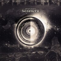 PKDGRAV3 - Senmuth