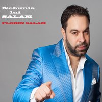 Cine Mi a Schimbat Viata.Wav - Florin Salam