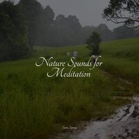 High Ocean Waves - SleepTherapy & Organic Nature Sounds & Schlaflieder Für Kinder