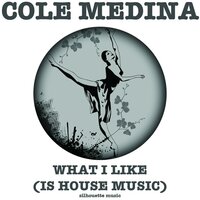What I Like (Is House Music) - Cole Medina