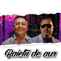 La rau si la bine - Vali Vijelie