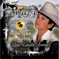 Falso Orgullo - El Potro De Sinaloa