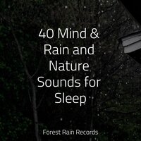 Medium Campfire - Mother Nature FX & Música para Massagem Especialistas & Easy Sleep Music