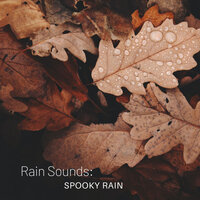 Rain noise for the mind - Rain Sounds & Weather and Nature Recordings & Amazing Spa Experience