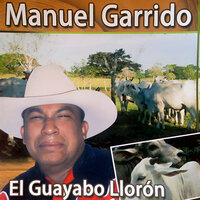 Romance Ponzoñoso - Manuel Garrido