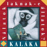 Tapsifül - Kaláka