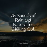 Tranquil Waves - Rain Sounds Collection & Lightning & Baby Sleep Lullaby Academy