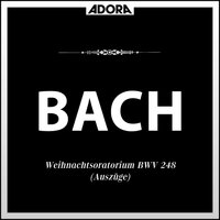 Weihnachtsoratorium für Orchester und Chor, BWV 248, "Am Sonntag nach Neujahr": Dein Glanz all Finsternis verzehrt - Stuttgarter Bachorchester & Hans Grischkat & Schwäbischer Singkreis & Johann Sebastian Bach
