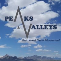 Won't Stray - The Forest View Movement