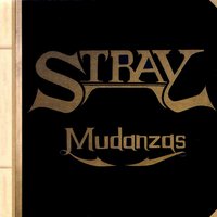 I Believe It - Stray