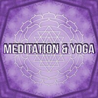 Reiki - Yoga Asanas Music Paradise