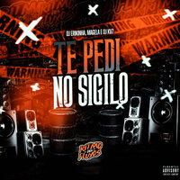 Te Pedi no Sigilo - DJ KV7 & DJ Erikinha & Magela