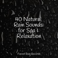 Ocean, Small, Waves - Binaural Beats Brainwave Entrainment & Gentle Rain Makers & Rain Sounds Sleep