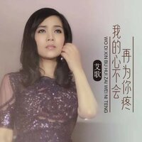 我的心不会再为你疼 - 艾歌