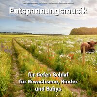 Stille Gedanken - Entspannungsmusik Olivia Lehen & Schlafmusik & Entspannungsmusik