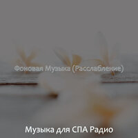 Моменты (Расслабление) - Музыка для СПА Радио