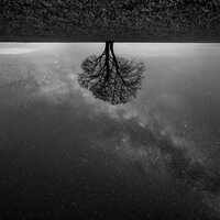 Outside - Oleg Byonic