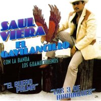 El Barco - Saul Viera El Gavilancillo