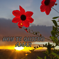 Hoy Te Quiero Amar - Grupo Fantasía & Los Andinenses