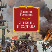 Василий Гроссман. «Жизнь и судьба». Часть 88 - Игорь Тарадайкин