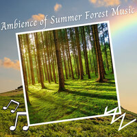 Nature Planet - Sleep Meditation & Native American Nature & 4D Nature Recordings