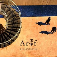 Anlasaydın - Arif