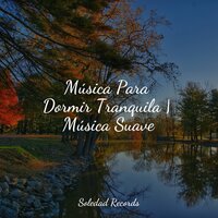 Divagando En Claridad - Ambiente & Sonidos De Lluvia y Tormentas & Mantra para Meditar