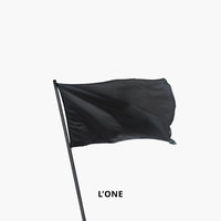 Чёрный умеет блестеть - L'One