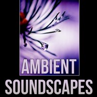 Self Healing - Therapy Massage Music Consort