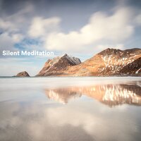 Veenu - Relax & Silent Meditation Zone & Therapy Music Sanctuary