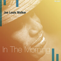 Strange Loving - Joe Louis Walker