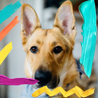 Carefree Ambience for Calm Hounds - Relax My Dog Music