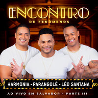 Diferenciada - Parangolé