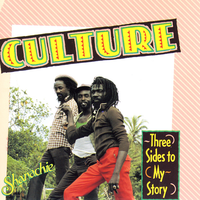 Selector - Culture