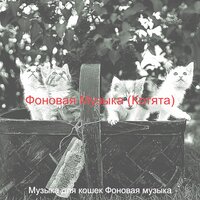 Атмосфера (Отдыхающие кошки) - Музыка для кошек Фоновая музыка