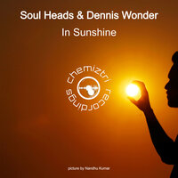 In Sunshine - Soul Heads & Dennis Wonder