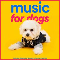 Somewhere to Call Home - Dog Music Dreams & RelaxMyDog