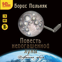 Борис Пильняк. «Повесть непогашенной луны. Повесть и рассказы». Часть 3 - Федор Степанов