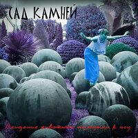 Пальцы - Сад камней