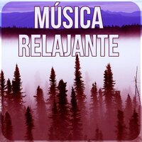 Reiki - Relajación Música Fondo Conjunto