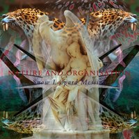 Bloodstreamruns - Nature and Organisation & Current 93