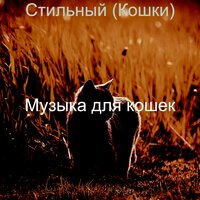 Атмосфера (Кошки) - Музыка для кошек