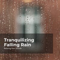 Be Still as the Rain Falls - Relaxing Rain Sounds & Rain Drops for Sleep & Rain for Sleep