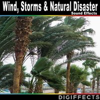 Rain and Thunder with Water - Digiffects Sound Effects Library