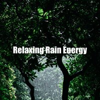 Bracing Summer Drizzle - Rain Sound