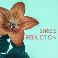 Modern Meditation - Destress Relaxing Music School