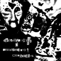 Ворованные Китайские Куртки - 4 Позиции Бруно