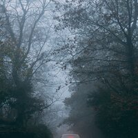 Medium Rain - Sleeping Music & nature & Sounds Background & ASMR Rain Sounds
