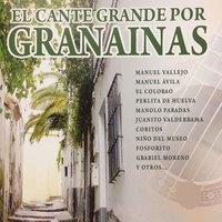 Granaina - Niño del Museo
