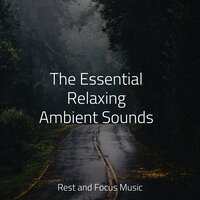 Lounging About - Study Concentration & Schlaflieder Für Kinder & Pink Noise